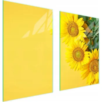 Obraz Skleněná ochranná deska na sporák 65x52 Květina