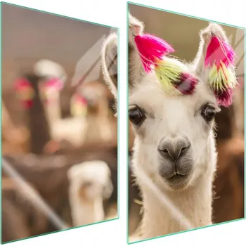 Obraz Skleněná ochranná deska na sporák 2x35x52 Lama