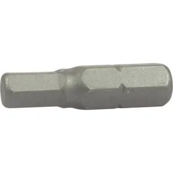 Bit bit 1/4", Inbus 2 x 25 mm, CrMo - 100-04898