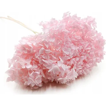 umělá květina Stabilizovaná Hortenzie (Hydrangea Cabeza) - Růžová