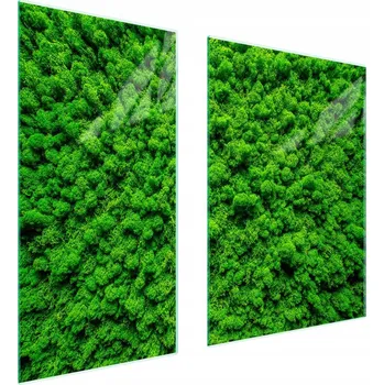 Obraz Skleněná ochranná deska na sporák 75x52 Barva