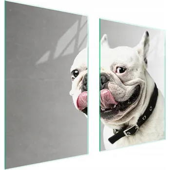 Obraz Skleněná ochranná deska na sporák 65x52 Pes