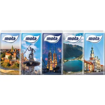 Papírový kapesník Hygienické kapesníčky bez vůně Mola 4 vrstvé, 10 ks