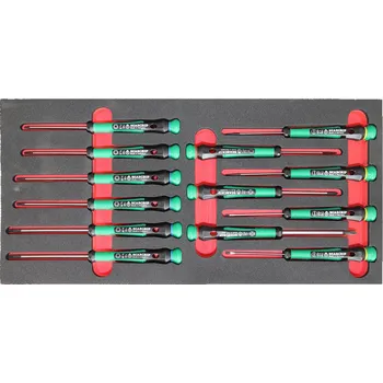 Triumf modul - šroubováky Beargrip ploché PL, křížové PH, Torx, pro jemnou mechaniku, 13 dílů, velikost 1/3 - 100-07005