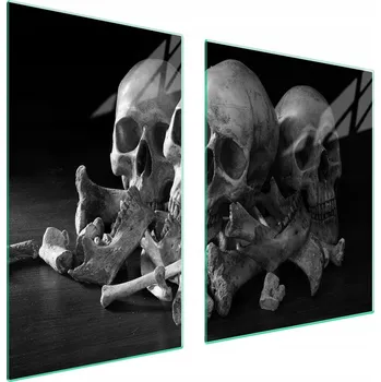 Obraz Skleněná ochranná deska na sporák 100x52 Lebka