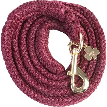 Vodítko pro psa Vodítko Bucas Show-Line s klasik karabinou