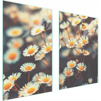 Obraz Skleněná ochranná deska na sporák 65x52 Květina