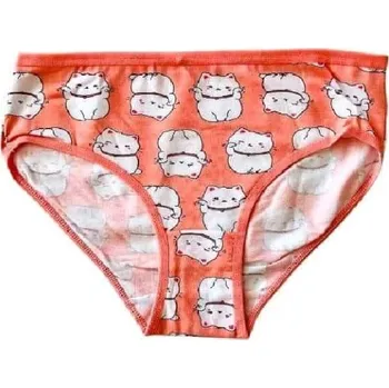 Dívčí spodní prádlo FANNIFEN DÍVČÍ KALHOTKY KOČKY BAVLNĚNÉ Barva: Oranžová, Velikost: 152/158