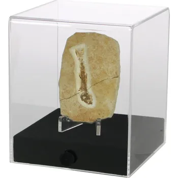 Obal pro sběratelský předmět Safe Prezentační kostky Velikost: 80x80x100 mm