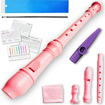 Příčná flétna RŮŽOVÁ do školy pro žáky na hudební výchovu + čisticí tyčinka, hmaty, noty, kazoo