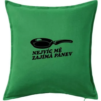 Polštář Nejvíc mě zajímá pánev - Polštář 50x50 - 50x50 - Pouze potah ( Středně zelená )