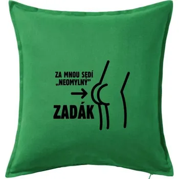 Polštář Za mnou sedí zadák - Polštář 50x50 - 50x50 - Pouze potah ( Středně zelená )