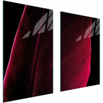 Obraz Skleněná ochranná deska na sporák 65x52 Pero