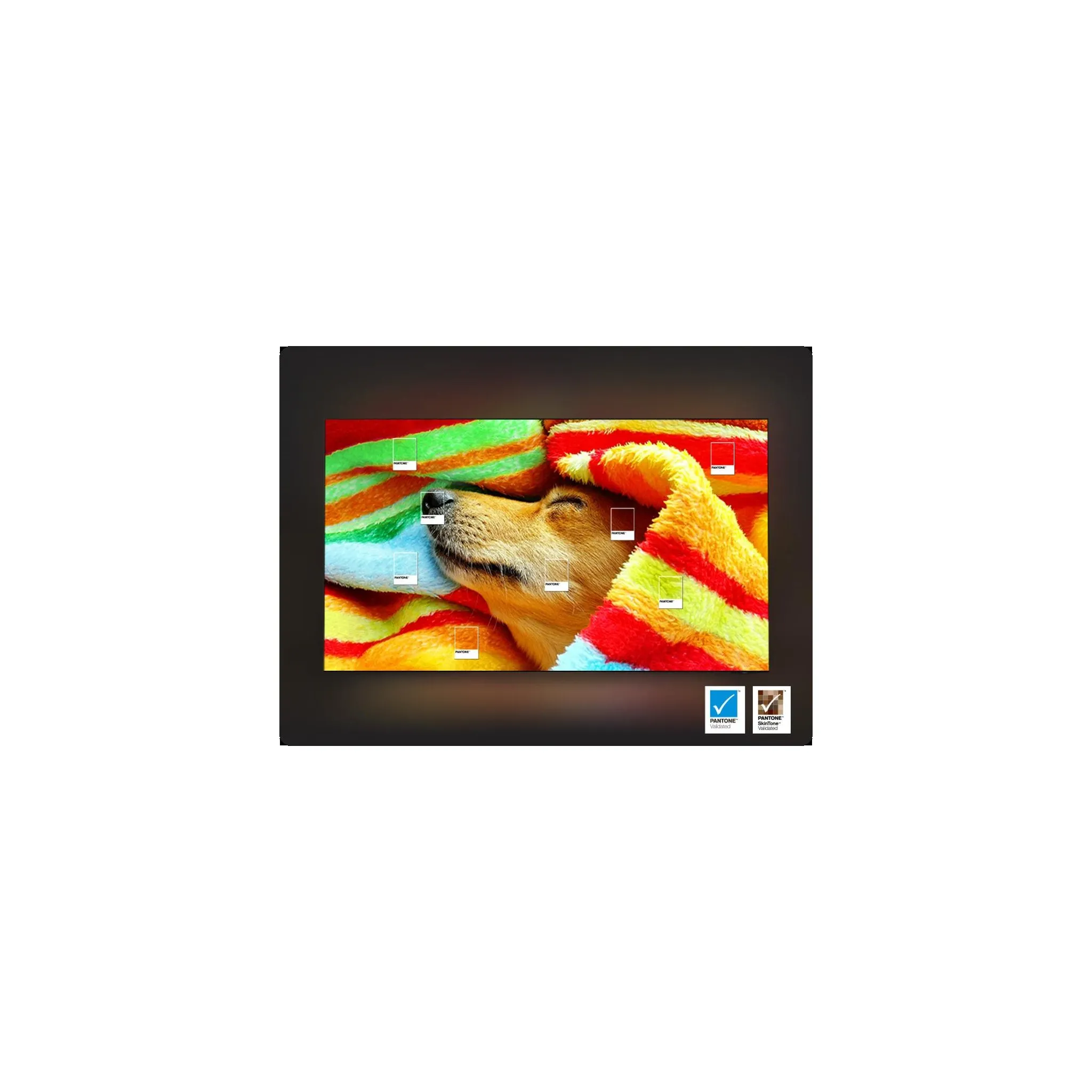 Fotografie 21 - Televizor Samsung 77" OLED (QE77S95FATXXH)