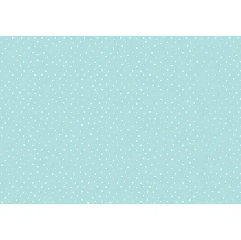 Umělecký papír OZDOBNÝ PAPÍR vzor HVĚZDIČKY 68,5cm/1m na balení MÁTOVÝ S BÍLOU