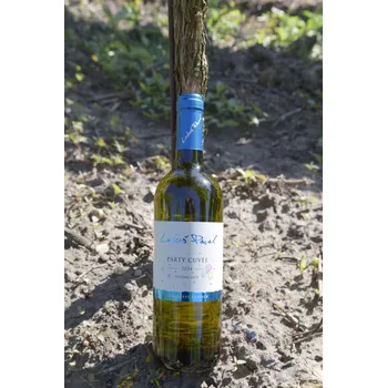 Víno Párty cuvée 2024, pozdní sběr, Lukeš Pavel, polosladké