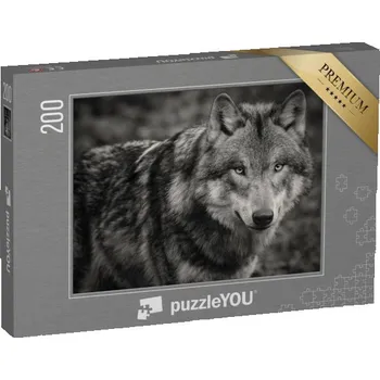 Puzzle puzzle 200 dílků „Canis lupus lupus“