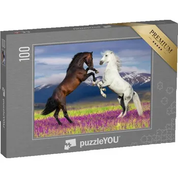Puzzle puzzle 100 dílků „Divoká krása, dva tančící koně“