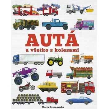 Bystrá hlava Autá a všetko s kolesami - Maria Brzozowska, Bryony Davies