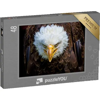 Puzzle puzzle 48 dílků „Portrét orla bělohlavého“