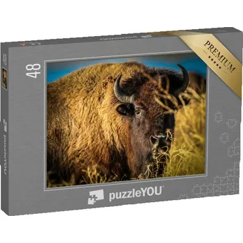 Puzzle puzzle 48 dílků „Buvoli pasoucí se na pastvině, Teton Valley“