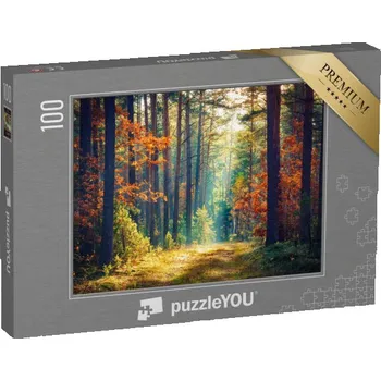 Puzzle puzzle 100 dílků „Slunečný podzimní les“