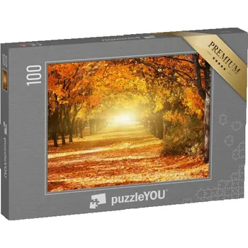 Puzzle puzzle 100 dílků „Alej zlatých podzimních stromů“
