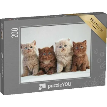 Puzzle puzzle 200 dílků „Čtyři britská koťata“