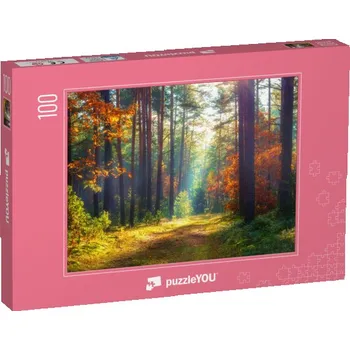 Puzzle puzzle 100 dílků „Podzimní přírodní krajina“