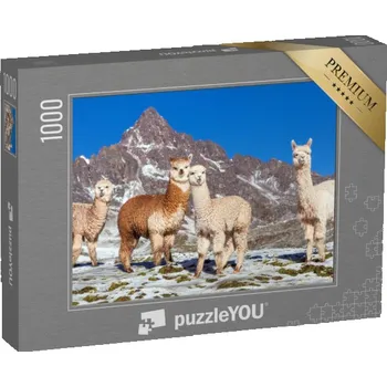 Puzzle puzzle „Skupina lam na zasněžené pastvině, Andy, Peru“