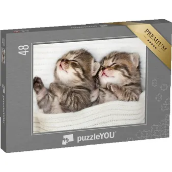 Puzzle puzzle 48 dílků „Dvě spící koťata“