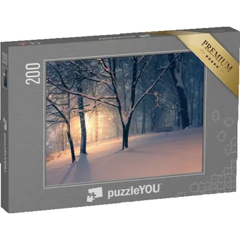 Puzzle puzzle 200 dílků „Zimní večer v parku“