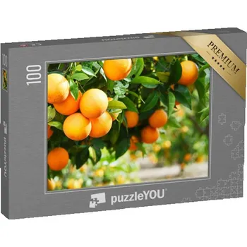 Puzzle puzzle 100 dílků „Citronová zahrada“