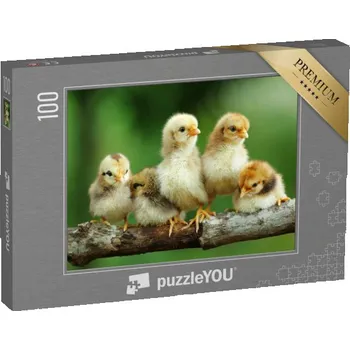 Puzzle puzzle 100 dílků „Skupina malých mláďat na větvi“