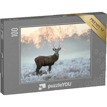 Puzzle puzzle 100 dílků „Mladý jelen v ledové trávě za chladného zimního rána, Anglie“