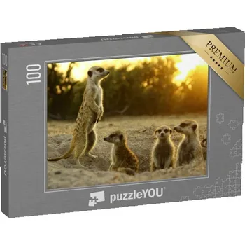 Puzzle puzzle 100 dílků „Surikaty ve svém přirozeném prostředí“