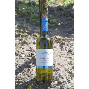 Cuvée 1480 2024, kabinetní víno, Lukeš Pavel, polosladké