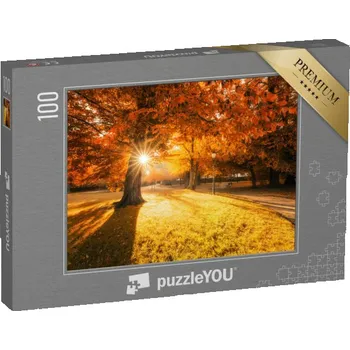 Puzzle puzzle 100 dílků „Východ slunce v parku“