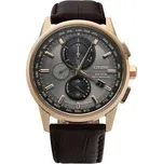 Hodinky Citizen Radio Controlled AT8113-12H