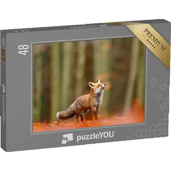 Puzzle puzzle 48 dílků „Roztomilá liška obecná, Vulpes vulpes v podzimním lese“