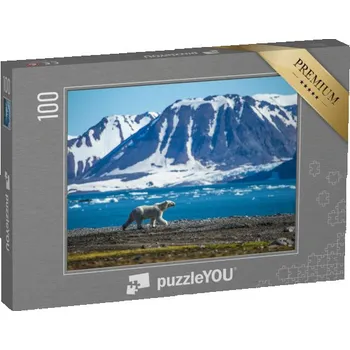 Puzzle puzzle 100 dílků „Lední medvěd na jižních Špicberkách“