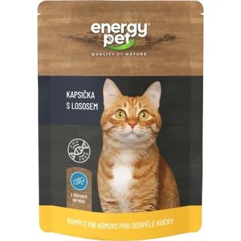 Krmivo pro kočku Energy Pet Kapsička pro kočky losos 100 g