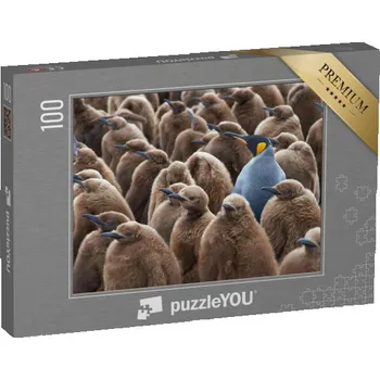 Puzzle puzzle 100 dílků „Dospělý tučňák královský ve skupině mláďat“