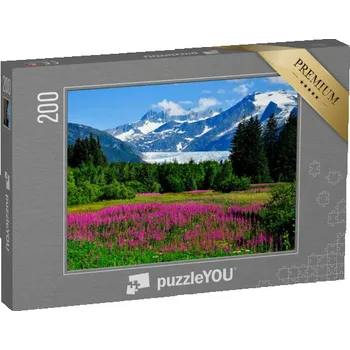 Puzzle puzzle 200 dílků „Ledovec Mendenhall Glacier s kvetoucími ohnivci, Aljaška“