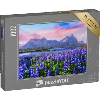 Puzzle puzzle „Lupinové louky u pohoří Stokksnes, Island“