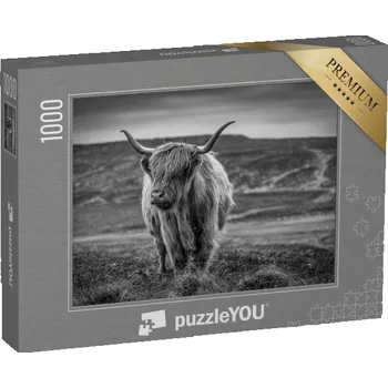 Puzzle puzzle „Skotský náhorní skot, černobílý“