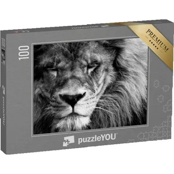 Puzzle puzzle 100 dílků „Portrét krásného lva“