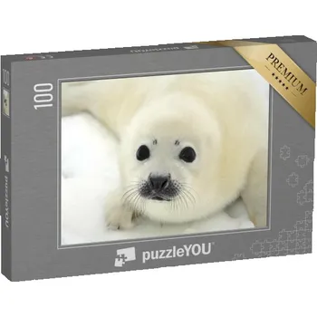 Puzzle puzzle 100 dílků „Mládě tuleně harfového na ledové kře“