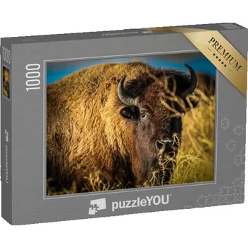 Puzzle puzzle „Buvoli pasoucí se na pastvině, Teton Valley“