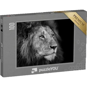 Puzzle puzzle 100 dílků „Portrét velkého lva“